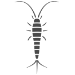 Los Angeles Silverfish Control | Pest Control